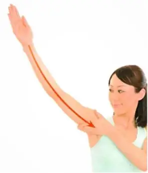 手首から、脇の下にかけて、腕のリンパマッサージをする女性